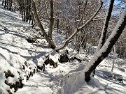 Monte Suchello (1541 m) da Costa Serina il 20 gennaio 2023  - FOTOGALLERY